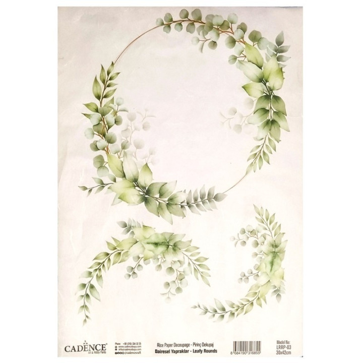 copy of 